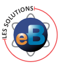 Logo EB